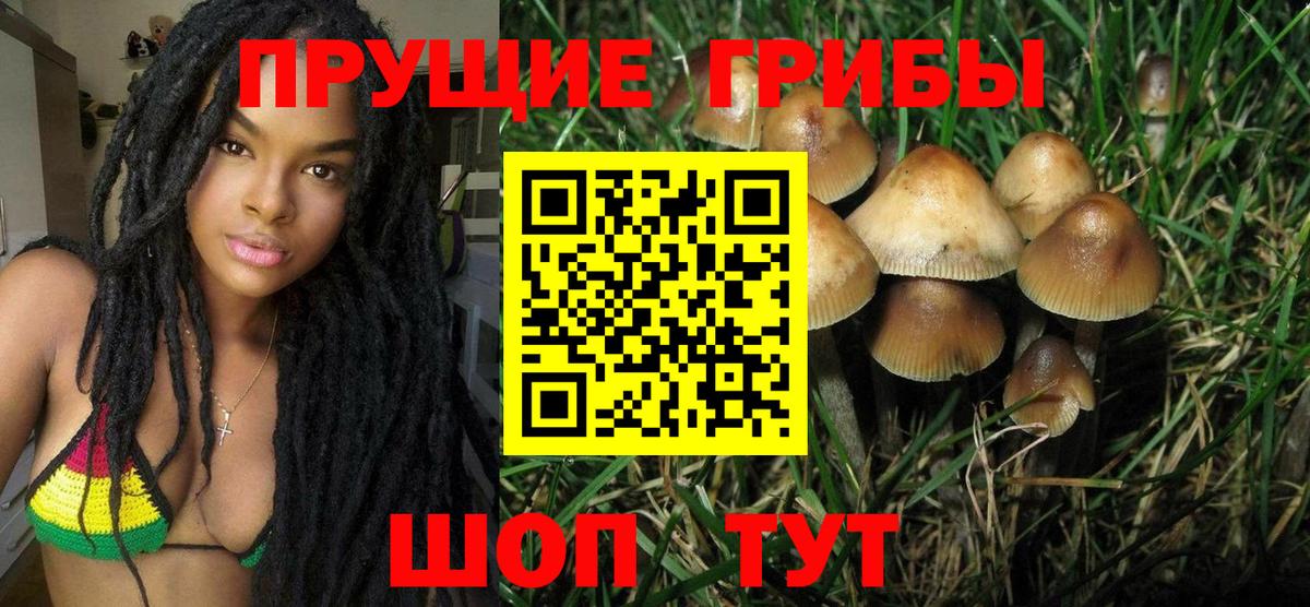 Стрежевой  Псилоцибиновые грибы Magic Shrooms  Вход с VPN  Псилоцибиновые грибы прущие грибы 