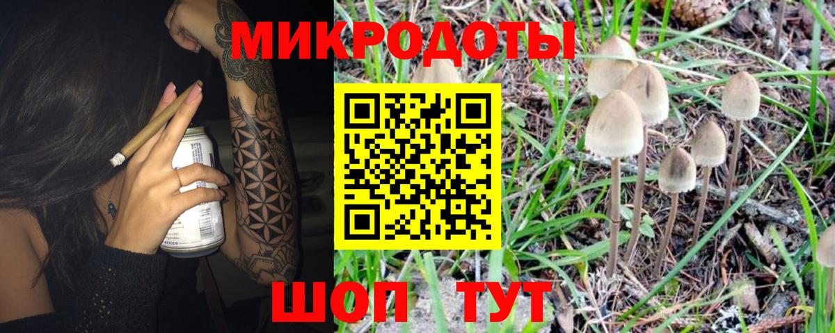 Галлюциногенные грибы мухоморы Стрежевой
