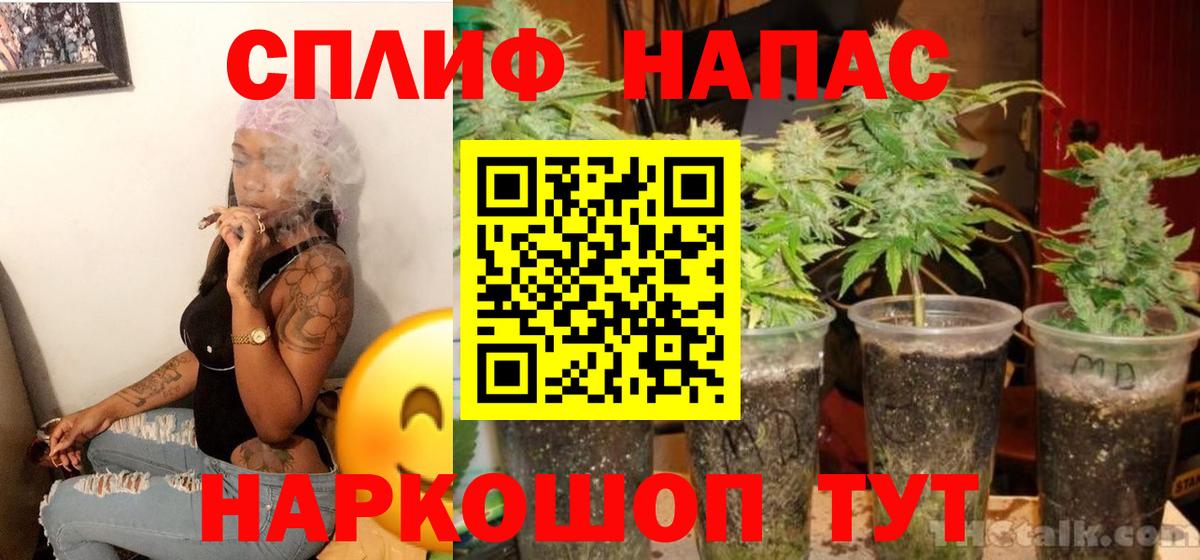 Каннабис конопля Стрежевой